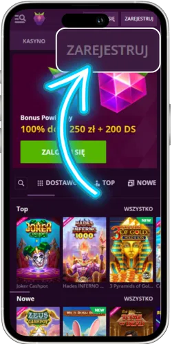 Malina Casino official site
